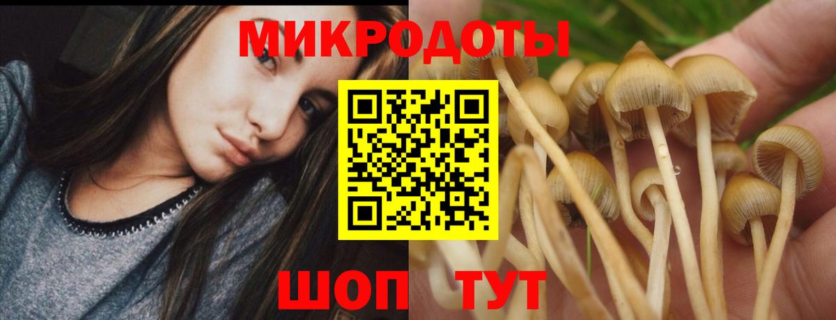 Галлюциногенные грибы прущие грибы Кимры